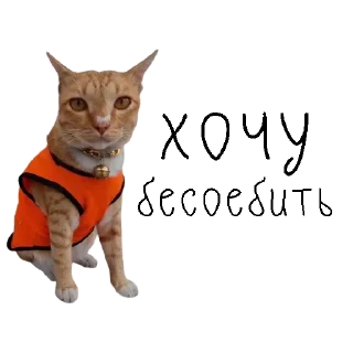 🤙 emoji коты ишачат на заводе Telegram sticker 12 of 34