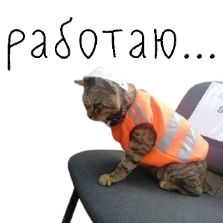 🤑 emoji коты ишачат на заводе Telegram sticker 8 of 34