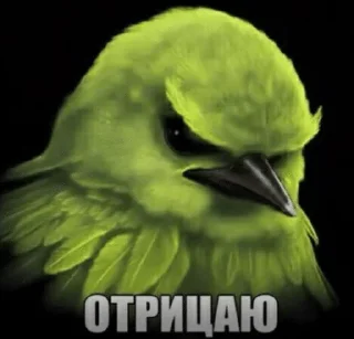 Sticker from 🐤