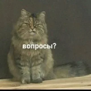 😶 emoji Бывает Telegram sticker 12 of 90