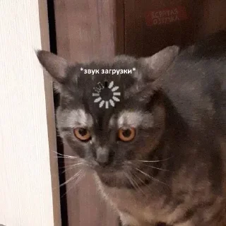 😐 emoji Бывает Telegram sticker 13 of 90