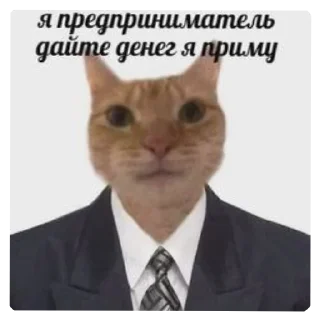 🐱 emoji Для чурок Telegram sticker 23 of 45