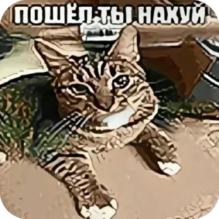 🫥 emoji Пенис Telegram sticker 11 of 22