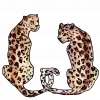 Sticker from любимые стики лилечки @lilnavavv :: @QstickBot