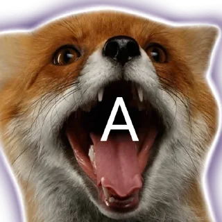 😱 emoji из крембобельской жизни Telegram sticker 1 of 18
