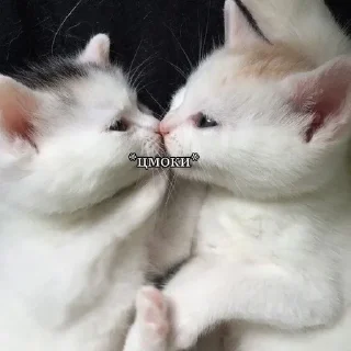 😚 emoji Пикчишки Telegram sticker 5 of 67
