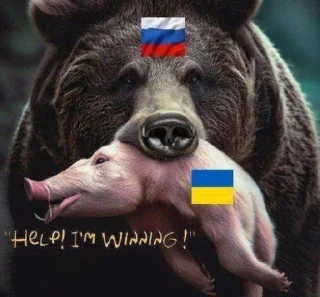 🐖 emoji СЛАВА РОССИИ Telegram sticker 6 of 41