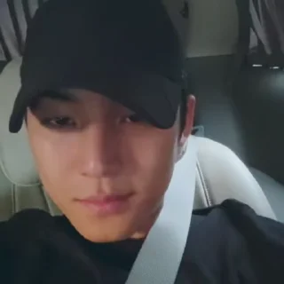 🚗 emoji mingyu @svtstick Telegram sticker 15 of 20