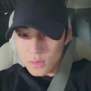 🚗 emoji mingyu @svtstick Telegram sticker 9 of 20