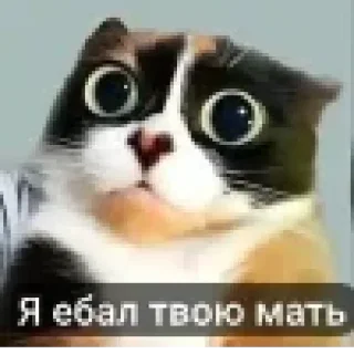 🤩 emoji куки | @sensforme Telegram sticker 3 of 32