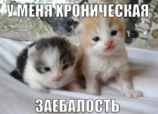 Sticker from Ккк
