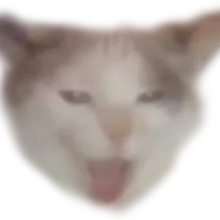 🤮 emoji Котики Telegram sticker 2 of 66