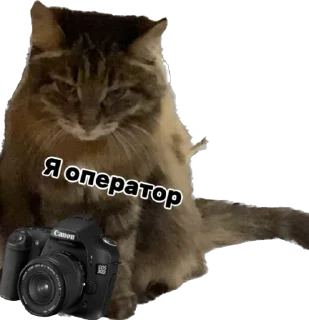 📷 emoji Дарья Легенда Telegram sticker 10 of 61