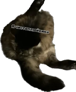 😛 emoji Дарья Легенда Telegram sticker 12 of 61