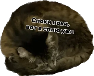 😴 emoji Дарья Легенда Telegram sticker 7 of 61