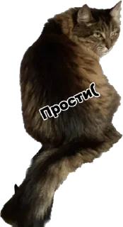 😣 emoji Дарья Легенда Telegram sticker 24 of 61