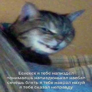 😃 emoji Юморески Прайса | @sticki_price Telegram sticker 10 of 120