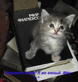 🤓 emoji пушистые уебки Telegram sticker 9 of 89