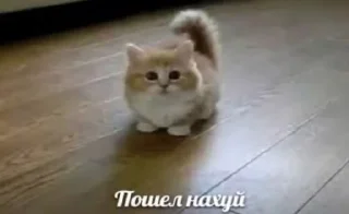 🤬 emoji пушистые уебки Telegram sticker 16 of 89