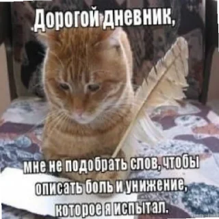 🙃 emoji Бандитка Кочо Telegram sticker 23 of 60