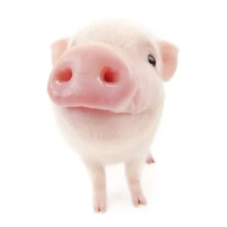 🐖 emoji babayka💗👾 Telegram sticker 23 of 31