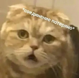 😱 emoji работка Telegram sticker 14 of 105