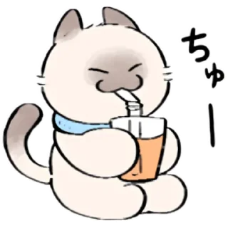 🧋 emoji cute kitty . . 🤍 @Kenai_1 Telegram sticker 17 of 30