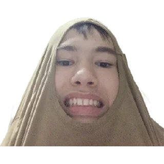 🧌 emoji Клоны Влада Telegram sticker 11 of 17