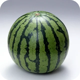🥦 emoji Отец Влада Telegram sticker 20 of 39