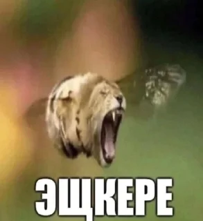 🌟 emoji будэйка💜💜 Telegram sticker 6 of 120