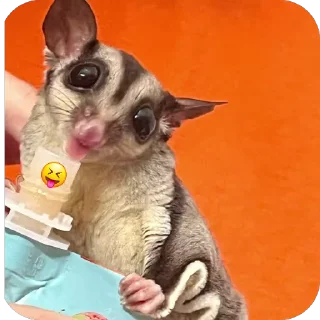 😝 emoji Эми Telegram sticker 11 of 11