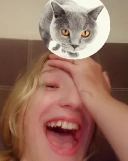 😼 emoji Крутышки Telegram sticker 15 of 32