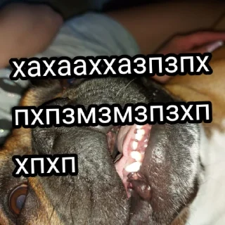 😂 emoji Жора Telegram sticker 13 of 61