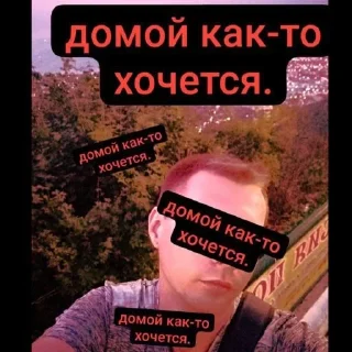 🌟 emoji жора густав Telegram sticker 15 of 16