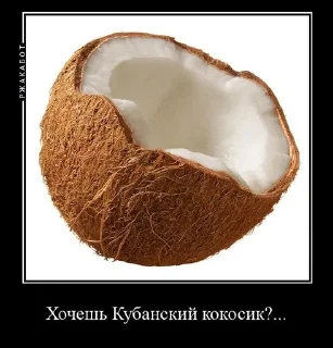 🥥 emoji Стикер 2.0 Telegram sticker 19 of 28