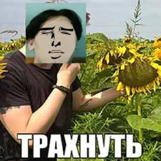 Sticker from Чо