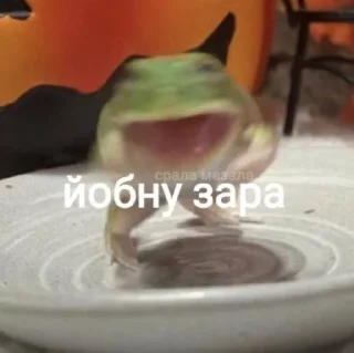 🙌 emoji жиза Telegram sticker 7 of 26