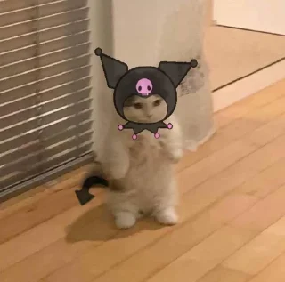 🤍 emoji котятки Telegram sticker 14 of 14