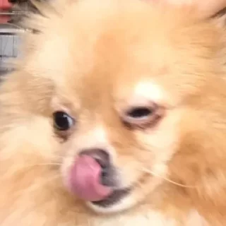 😋 emoji 🙅‍♂ Telegram sticker 7 of 26