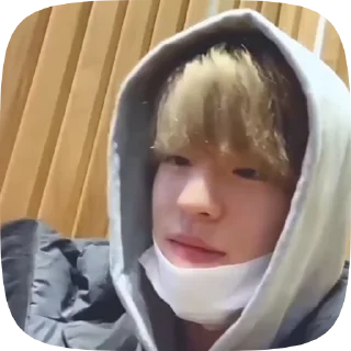 🐶 emoji seungmin by @lisqq_q Telegram sticker 18 of 21
