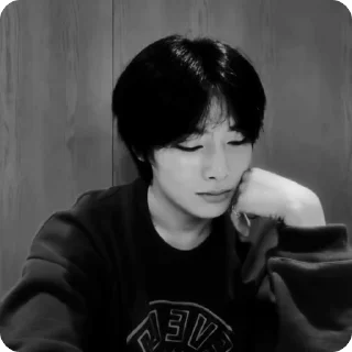 🍓 emoji #1.2 jeongin        @arhvgrs Telegram sticker 15 of 37