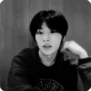🍓 emoji #1.2 jeongin        @arhvgrs Telegram sticker 19 of 37