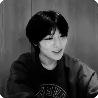 🍓 emoji #1.2 jeongin        @arhvgrs Telegram sticker 21 of 37