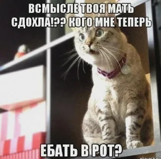 🌟 emoji Картиночки с текстом 2 Telegram sticker 22 of 120