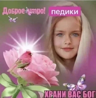 😘 emoji Открытки на все случаи жизни Telegram sticker 2 of 120