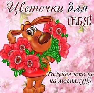 😝 emoji Открытки на все случаи жизни Telegram sticker 19 of 120