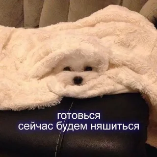 🌟 emoji Милашк Telegram sticker 20 of 23