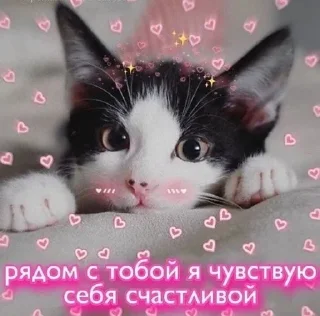 🌟 emoji Милашк Telegram sticker 17 of 23