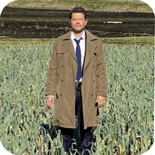 🏞 emoji Castiel | Supernatural @MacraniFilms Telegram sticker 20 of 33
