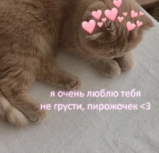 ❤️ emoji Пикчишки Telegram sticker 8 of 67